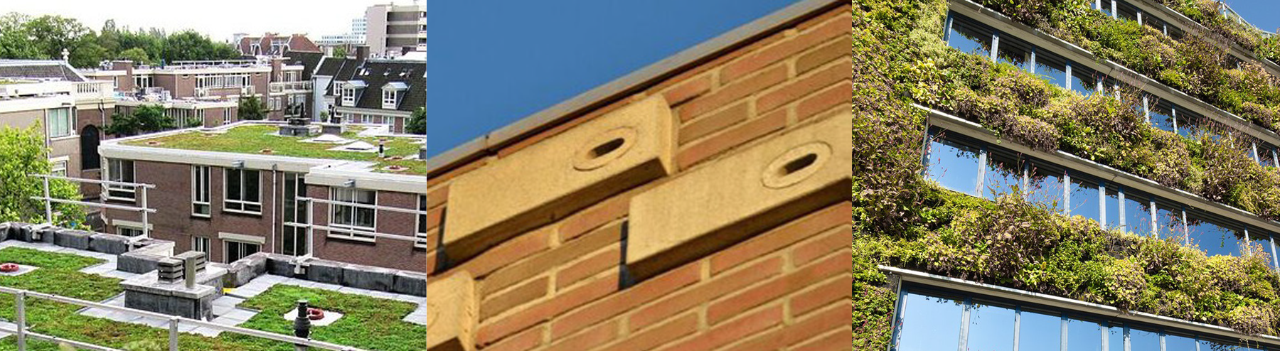 Beeld 1: Voorbeeldfoto van een plat dak, bedekt met sedem Beeld 2: Voorbeeldfoto van een gevel met nestkasten Beeld 3: Voorbeeldfoto van een gevel bedekt met ramen en groene beplanting