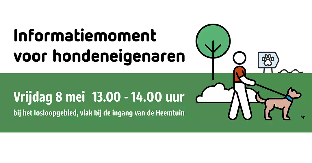 Honden in het park