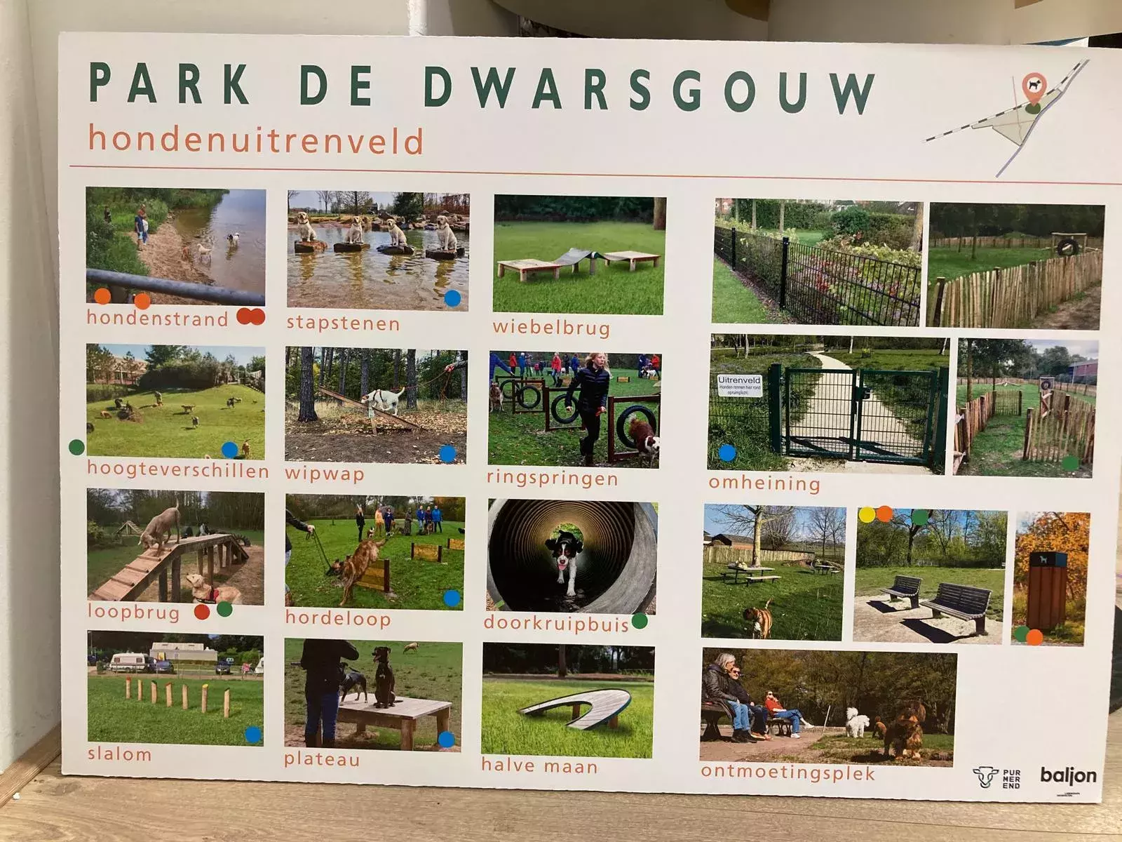 Hondenuitrenveld